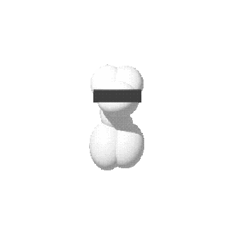 Dog 3D Animation